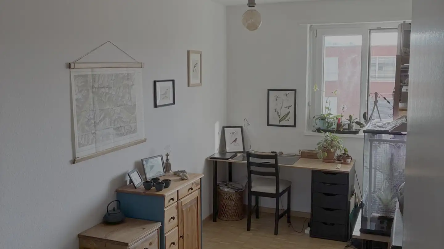 Stanza singola in affitto - 8051 Zürich