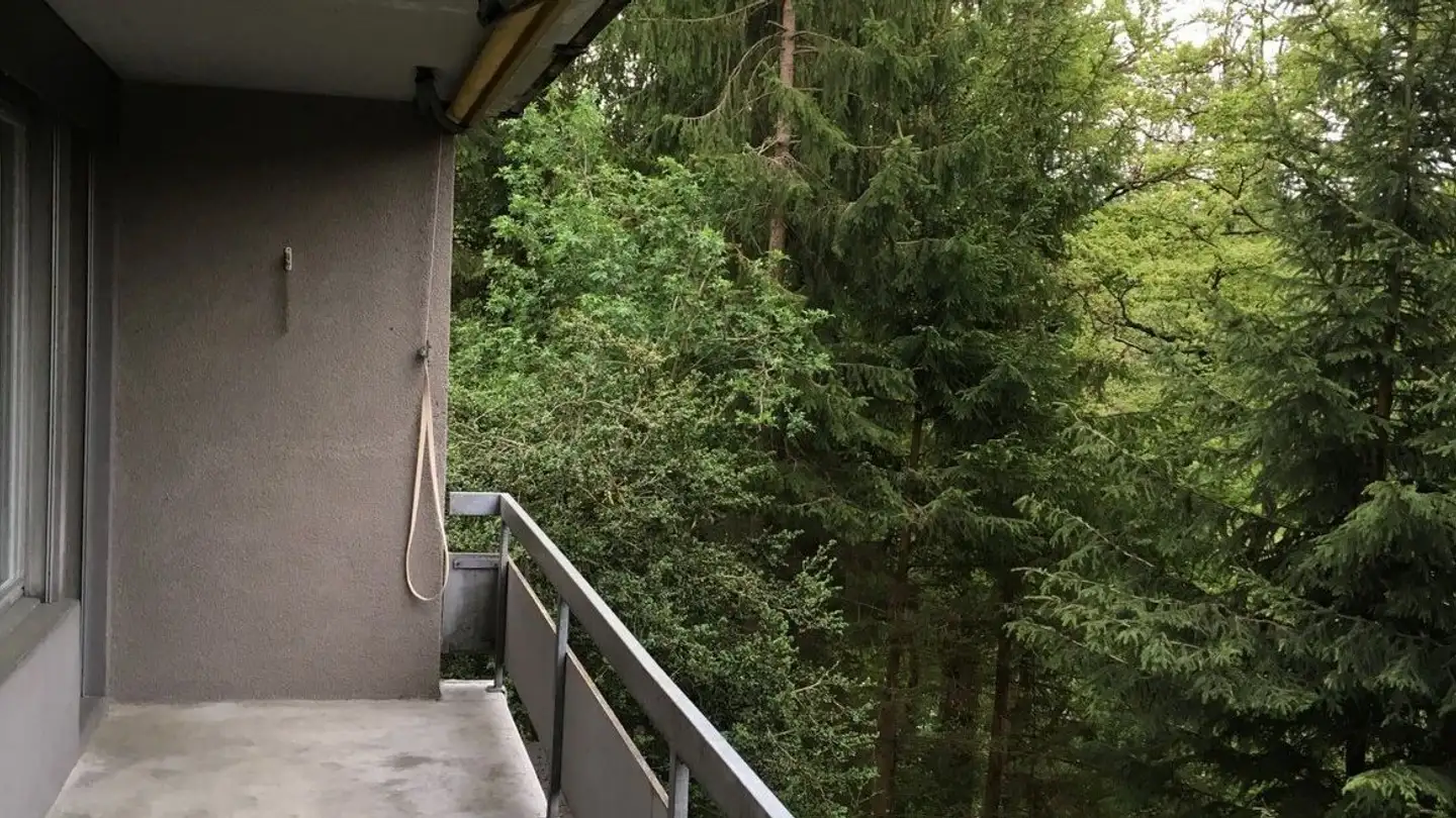 Appartement à louer - Thormannmätteliweg, 3004 Bern