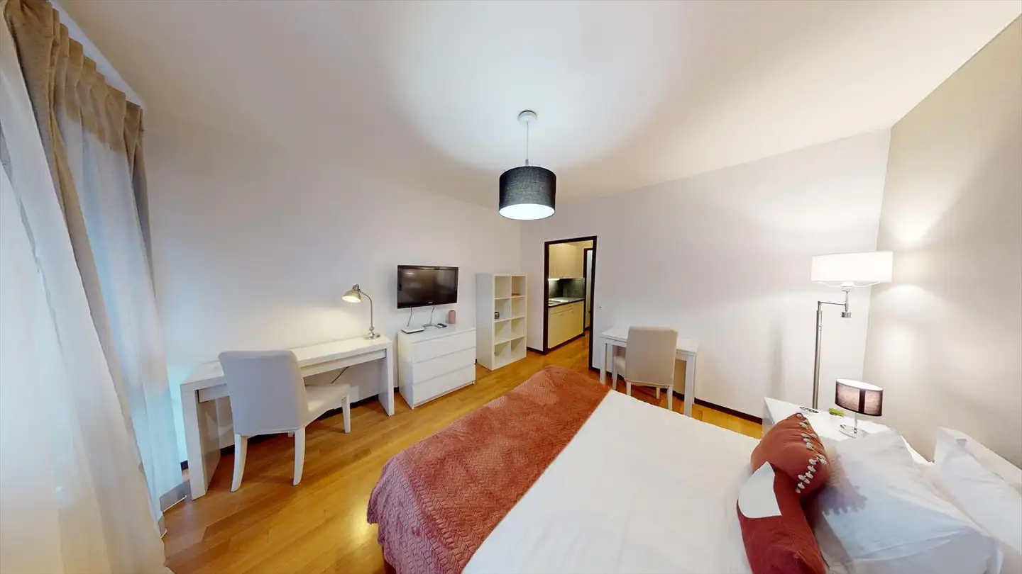 Appartement à louer - Rue Goetz-Monin 24, 1205 Genève - Photo 4