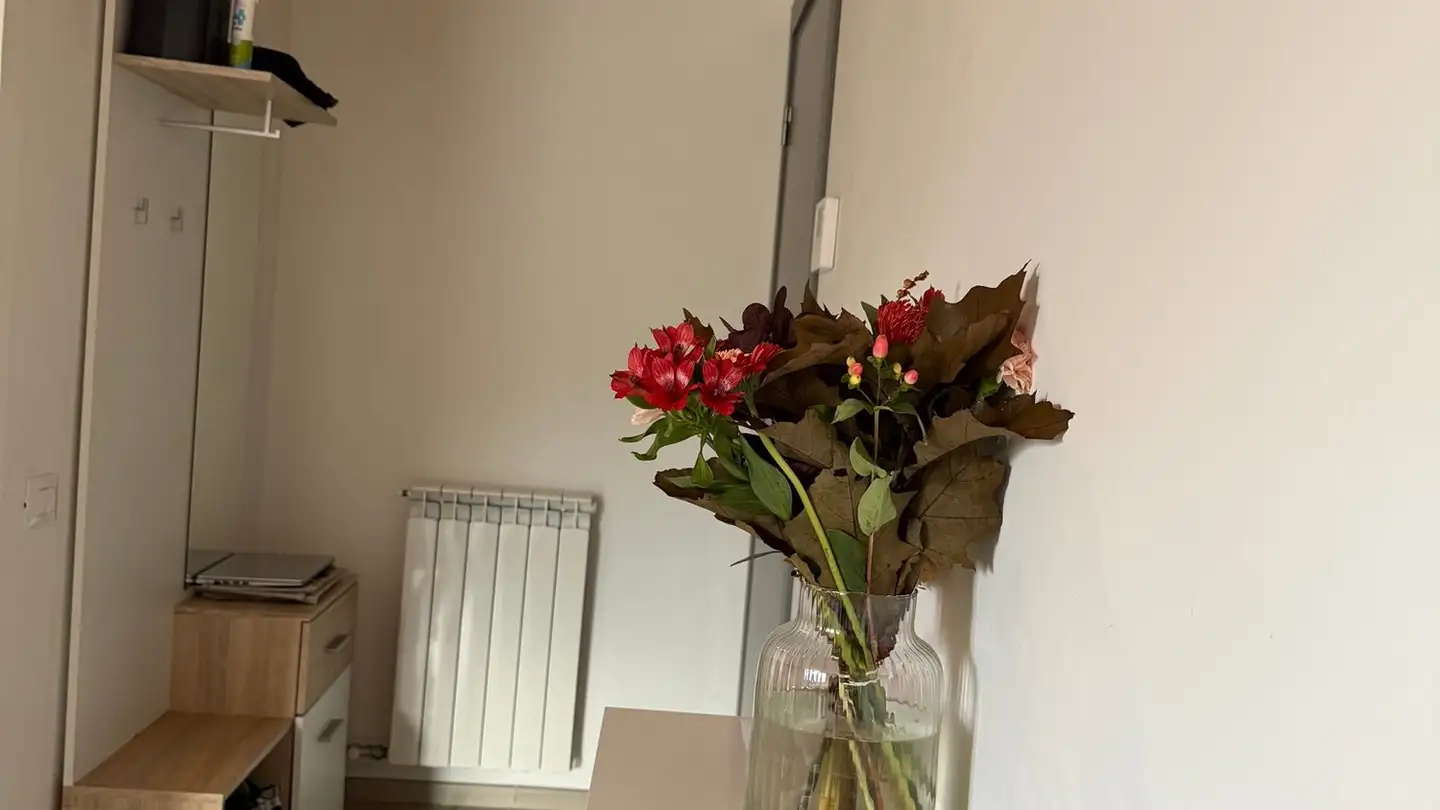 Apartment for rent - 1920 Martigny