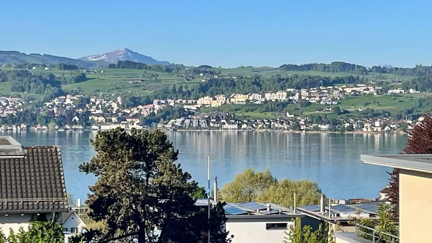 Maison en terrasse à louer - 8708 Männedorf