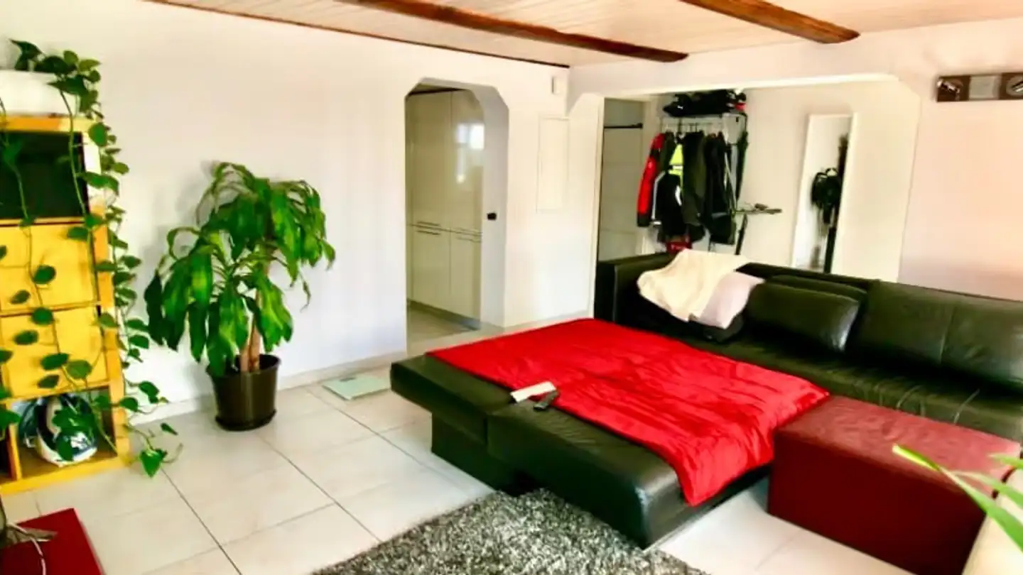 Appartamento in affitto - Altweg 1, 5606 Dintikon