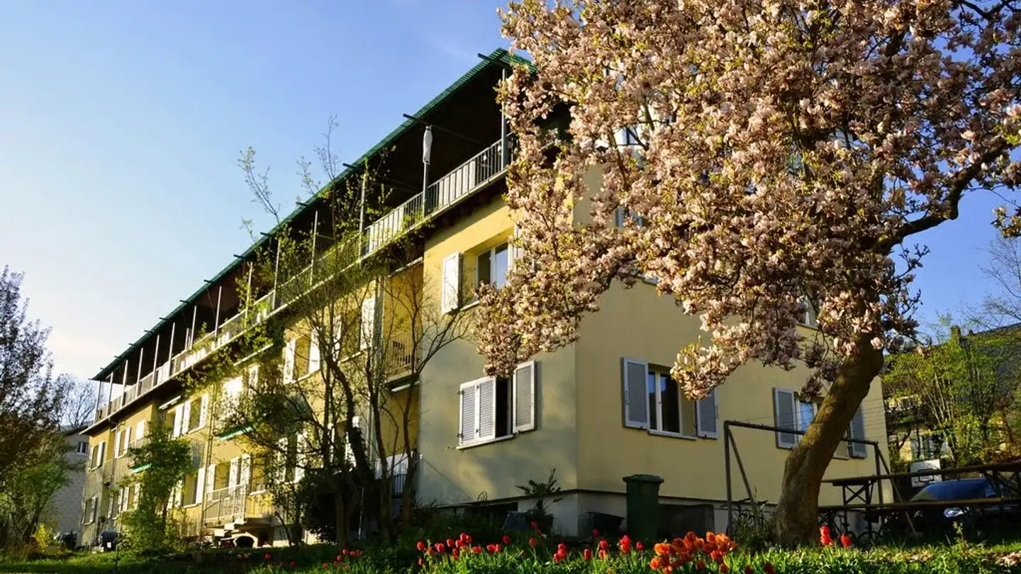 Wohnung mieten - Haldenweg 46, 4500 Solothurn