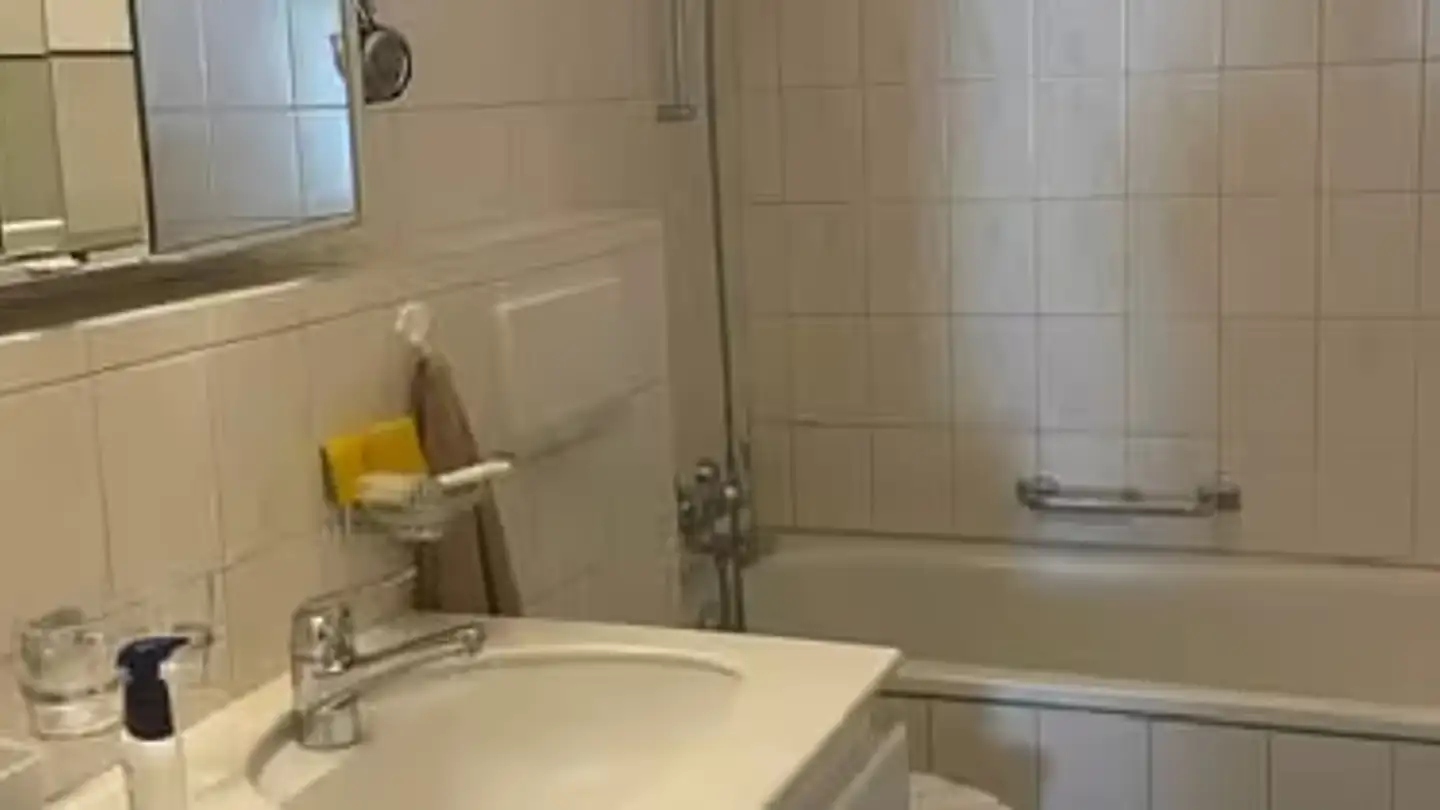 Appartement meublé à louer - Albulastrasse 6, 8200 Schaffhausen - Photo 2