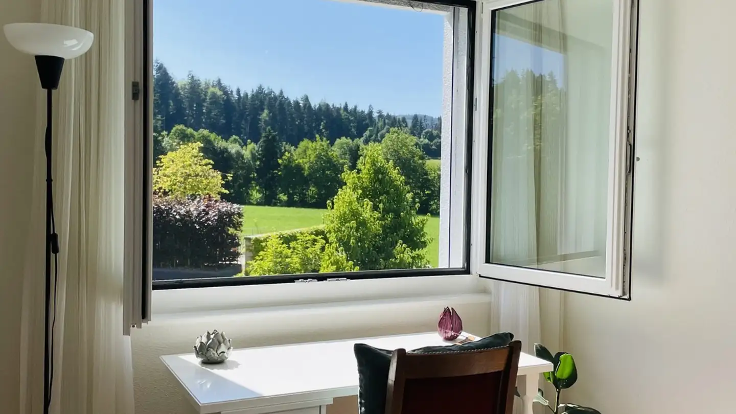 Stanza singola in affitto - Aronenweg 2, 8618 Oetwil am See - Photo 3