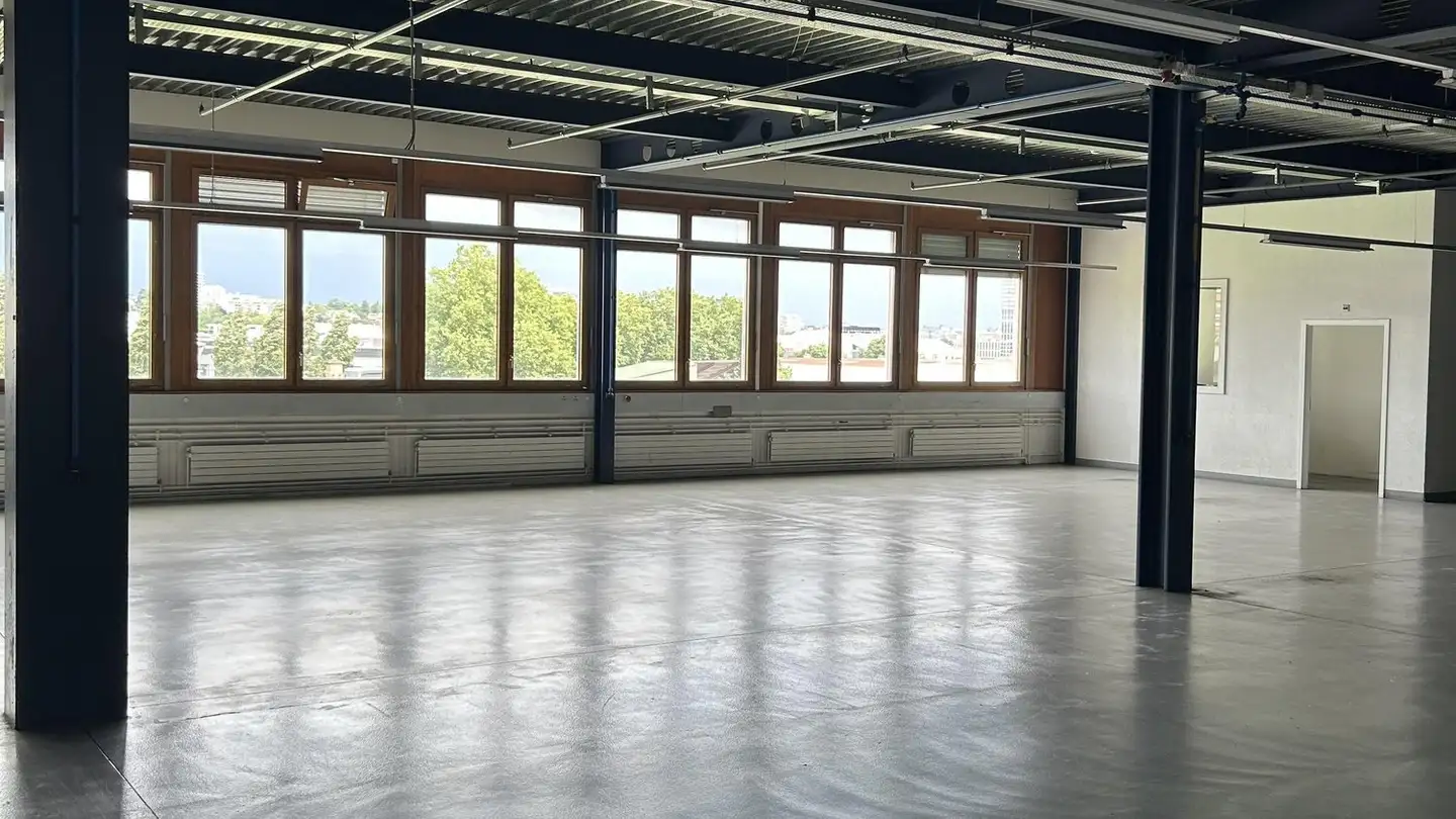 Industrieimmobilie mieten - 1227 Carouge GE - Foto 4
