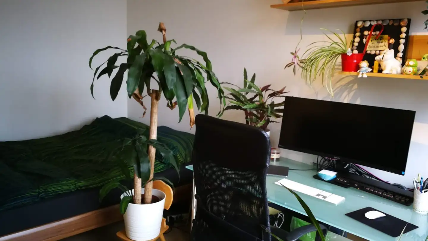 Stanza singola in affitto - Schwarztorstrasse 110, 3007 Bern - Photo 4