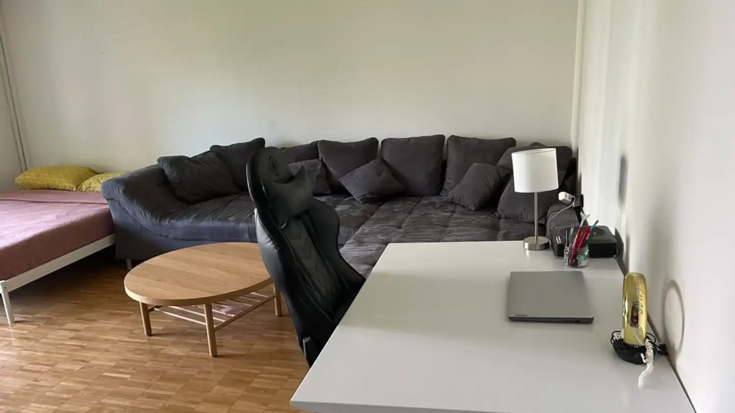 Appartamento in affitto - Georg-Kempf-Strasse 4, 8046 Zürich - Foto 3