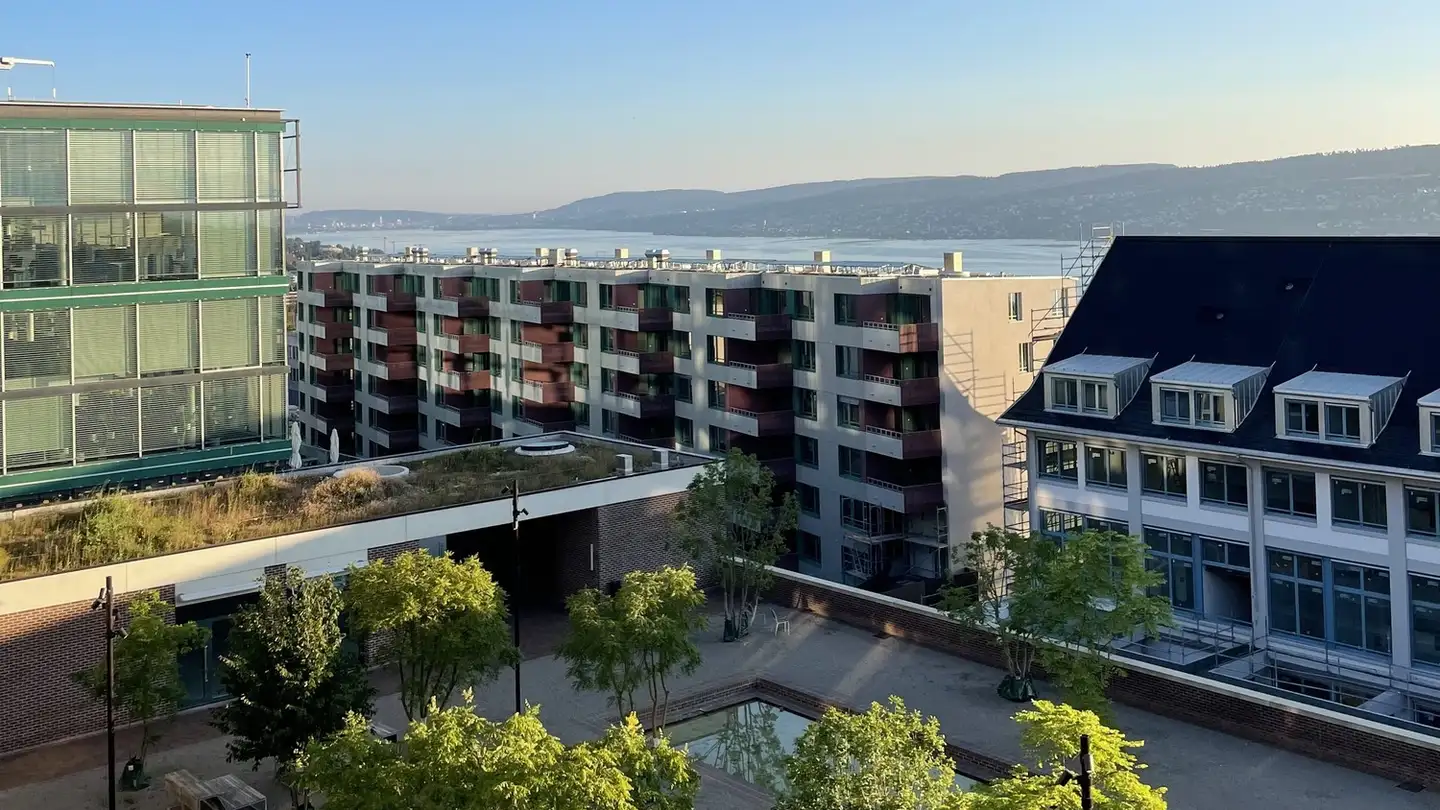 Stanza singola in affitto - Neugasse 23, 8810 Horgen - Foto 3