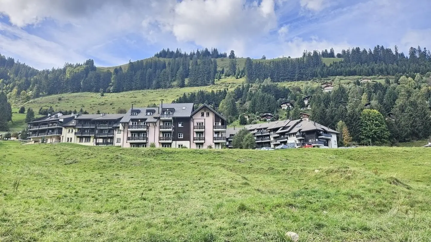 Appartement à louer - Route Du Lézard 29, 1663 Moléson-sur-Gruyères