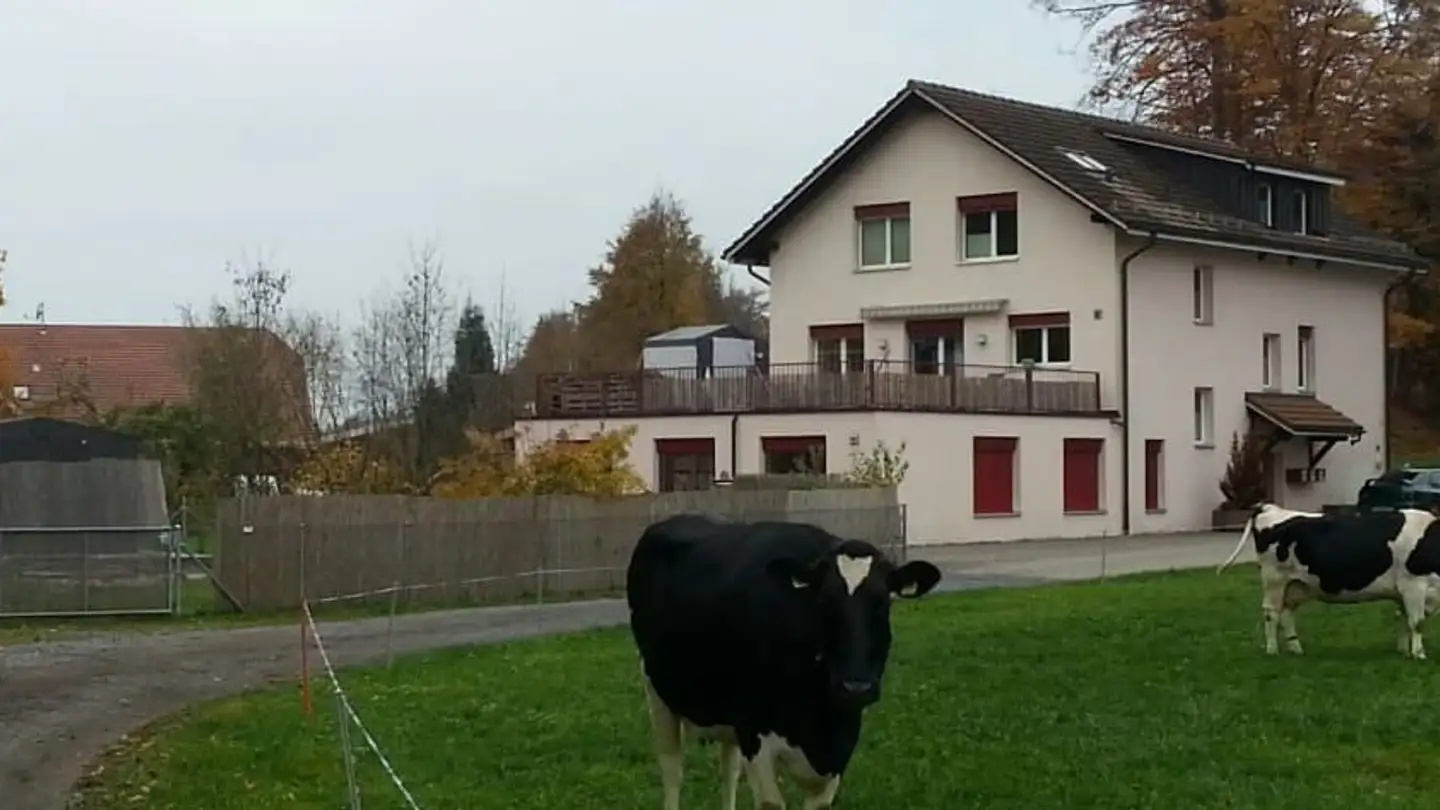 Appartement à louer - Tägerenaustrasse 3, 8734 Ermenswil - Photo 2