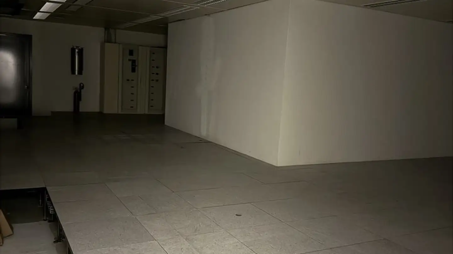 Espace de stockage à louer - Avenue Charles Ferdinand Ramuz 90, 1009 Pully - Photo 2