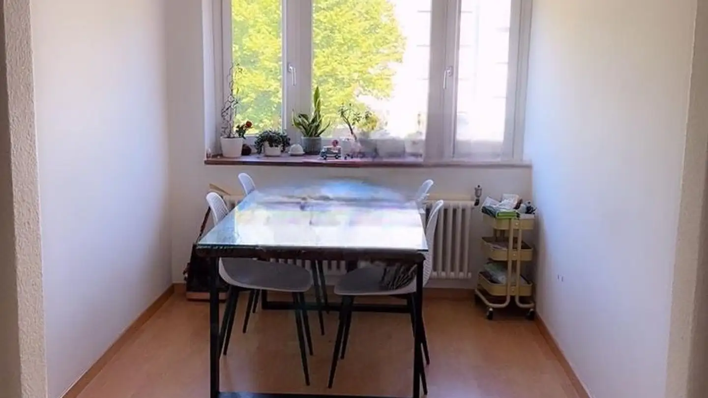 Wohnung mieten - Wallisellenstrasse 247, 8050 Zürich - Foto 2