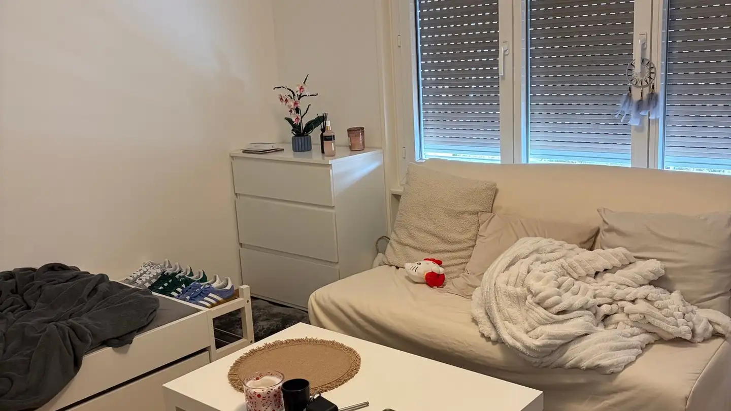 Wohnung mieten - Avenue De La Sallaz 64, 1010 Lausanne