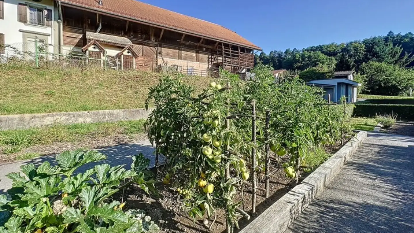 Apartment for rent - Route De La Rosière 52, 1782 Belfaux - Photo 2