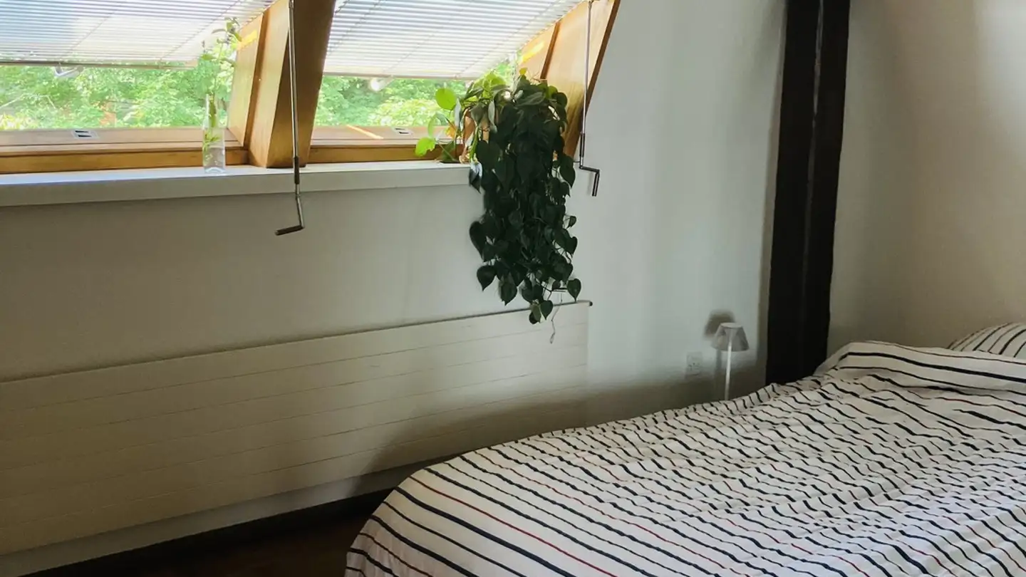 Appartement à louer - 8050 Zürich
