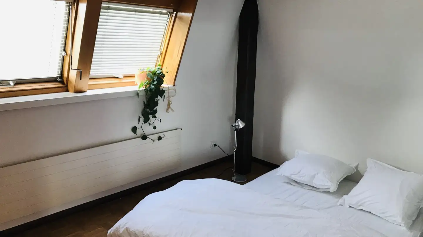 Appartement à louer - 8050 Zürich - Photo 2