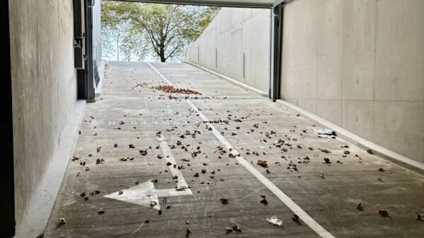 Espace de stockage à louer - 1020 Renens VD - Photo 3