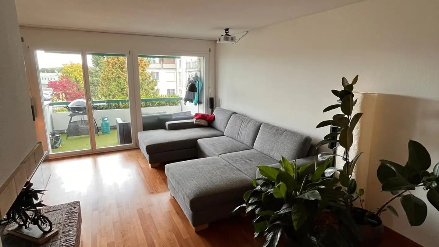 Stanza singola in affitto - Frauentalweg 117, 8045 Zürich - Foto 4