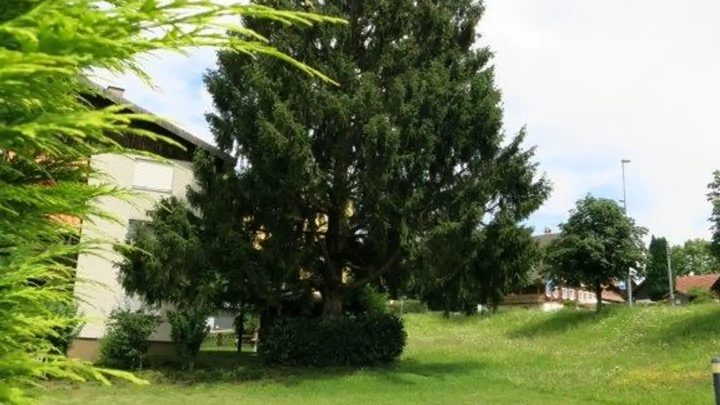 Appartamento in affitto - Albisstrasse 161, 8038 Zürich