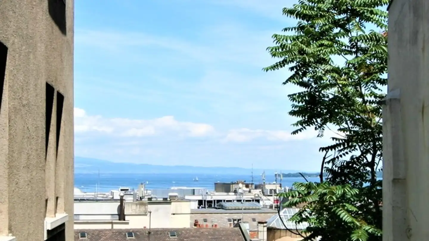 Apartment for rent - Rue De L' Evêché 3, 1204 Genève - Photo 3