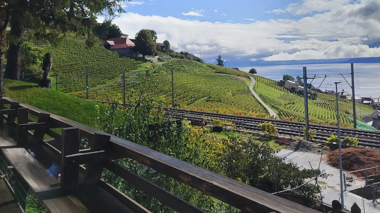 Single room for rent - Rue De La Gare 17, 1091 Grandvaux - Photo 3