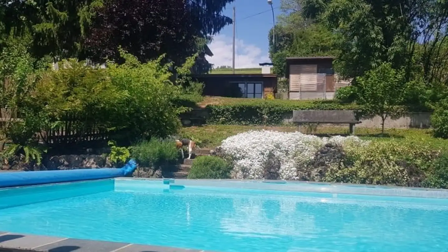 Single house for rent - Haldensteinstrasse 17, 5225 Bözberg