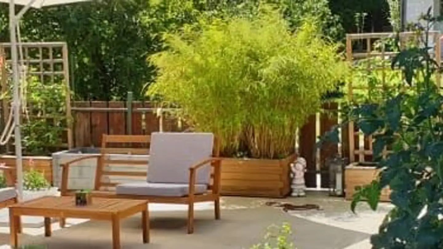 Single house for rent - Haldensteinstrasse 17, 5225 Bözberg - Photo 4