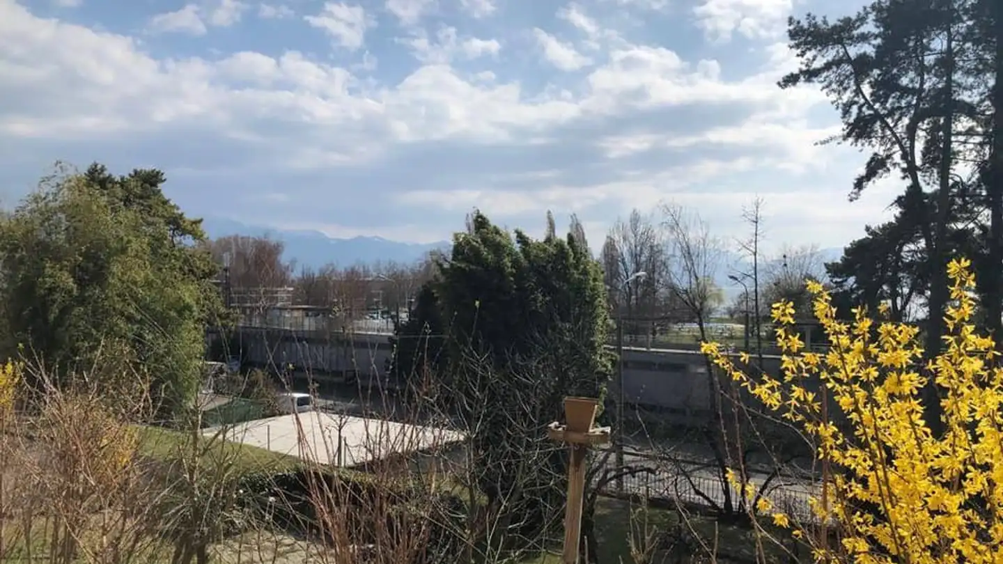 Garage individuel à louer - Avenue Des Bains 30, 1007 Lausanne - Photo 2