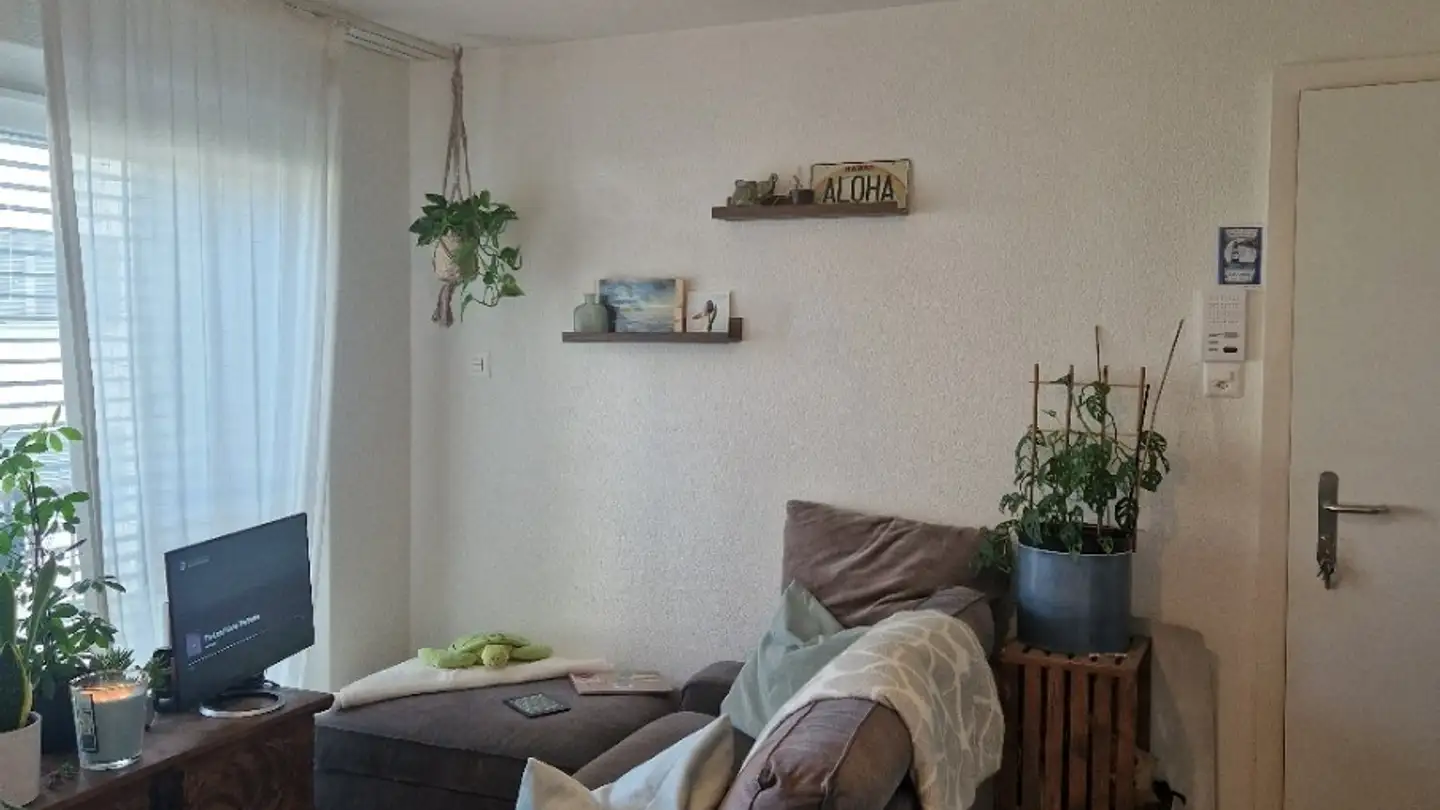 Appartamento in affitto - Langwiesenstrasse 12, 8408 Winterthur - Foto 2