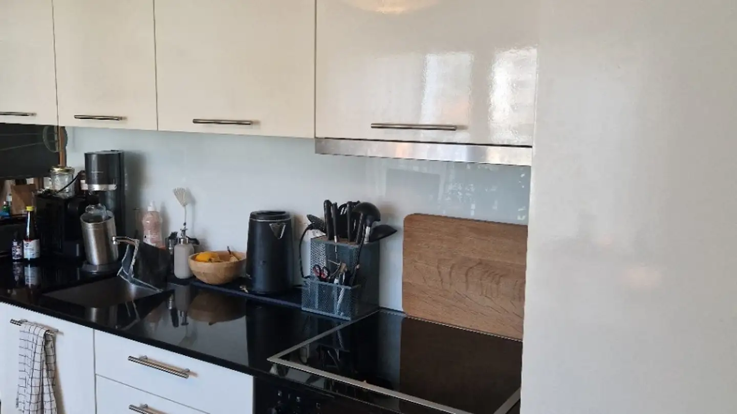 Appartamento in affitto - Langwiesenstrasse 12, 8408 Winterthur - Foto 3