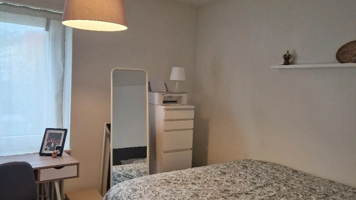 Appartamento in affitto - Langwiesenstrasse 12, 8408 Winterthur - Foto 4