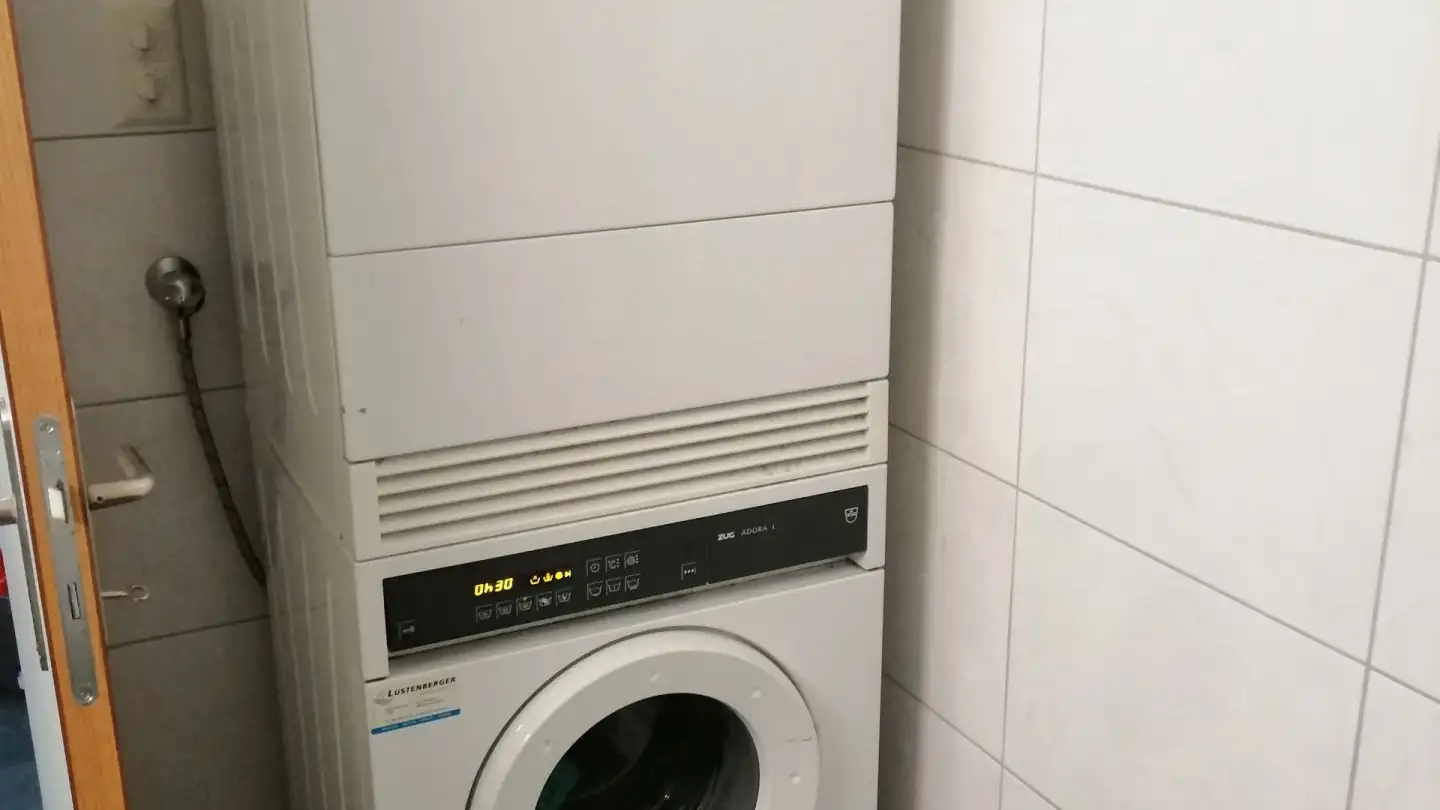 Penthouse mieten - Faselimatt 1, 6252 Dagmersellen - Foto 3
