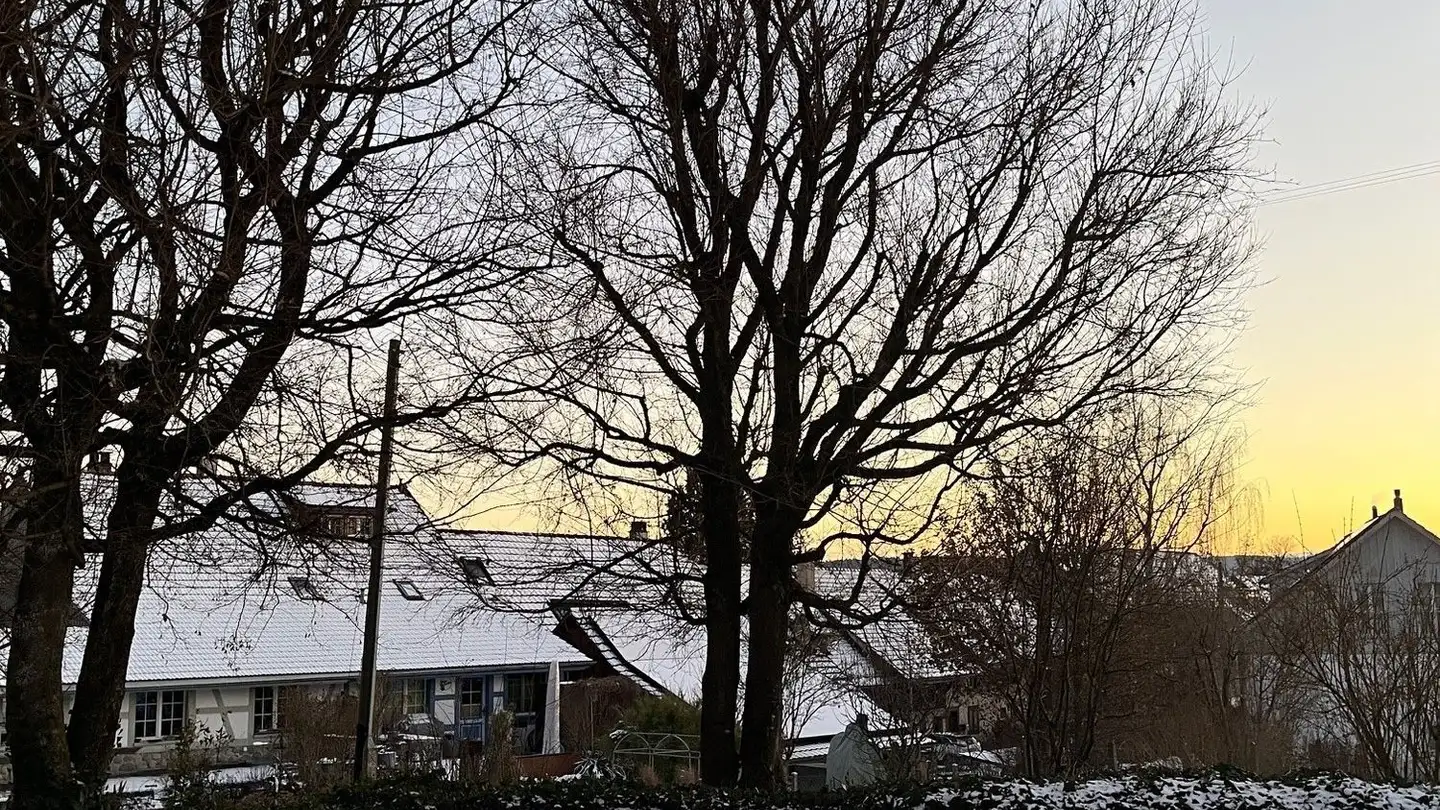 Apartment for sale - 8442 Hettlingen