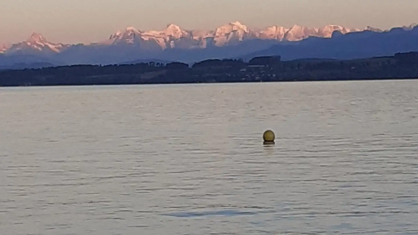 Stanza singola in affitto - 2000 Neuchâtel - Foto 4