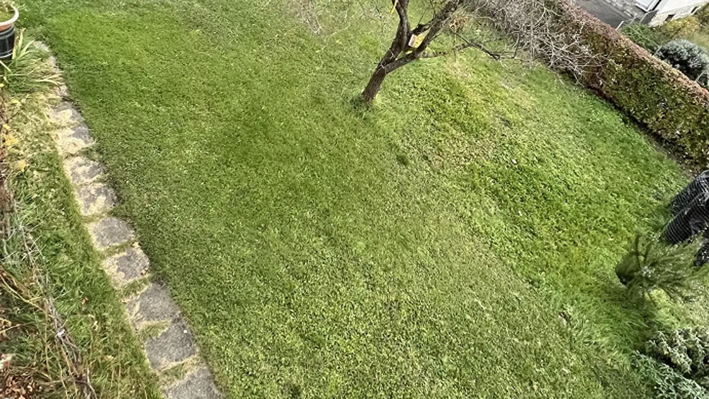 Wohnung mieten - Sum Curtgins 8, 7013 Domat/Ems