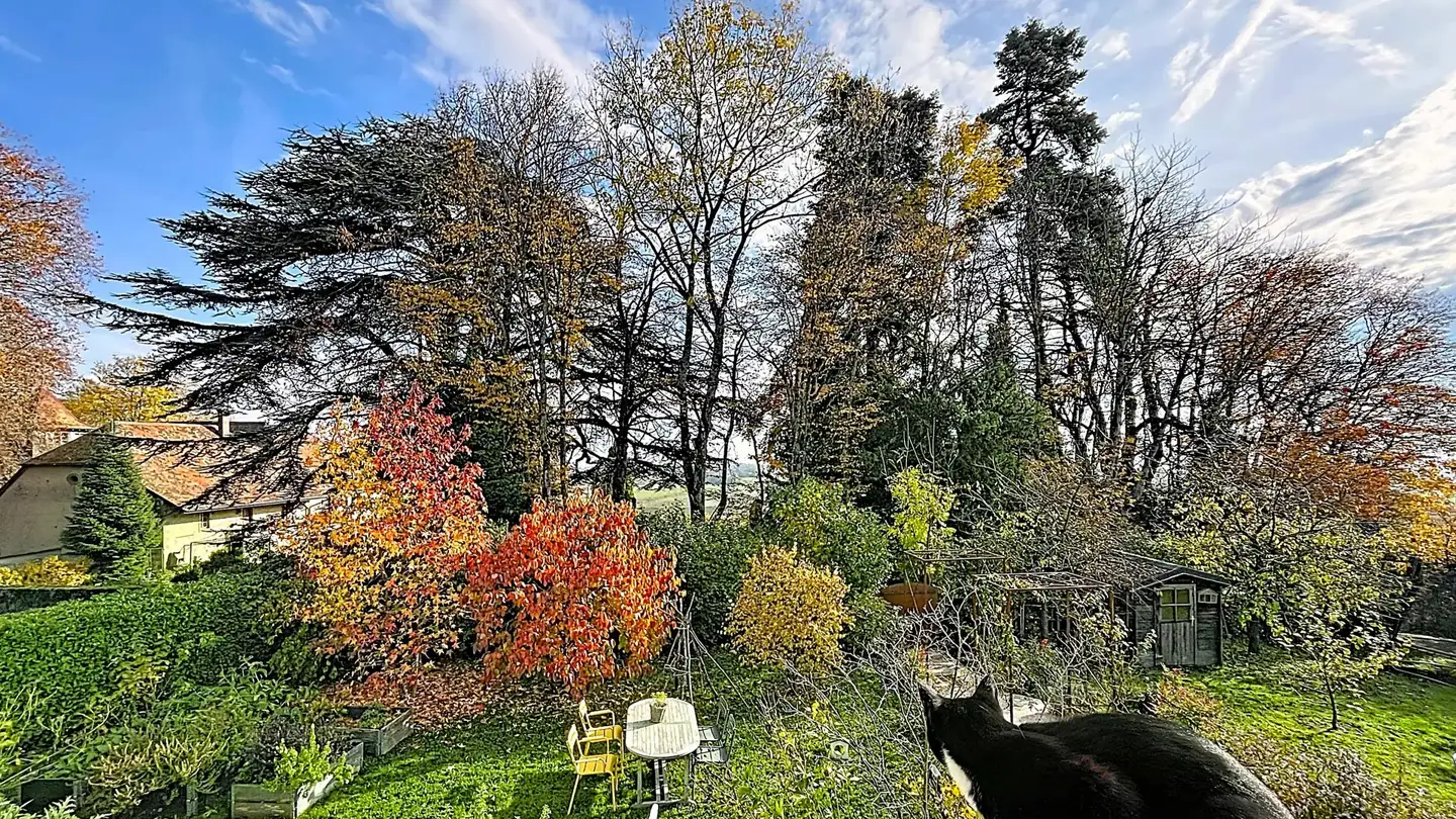 Maison individuelle à vendre - 1170 Aubonne - Photo 2