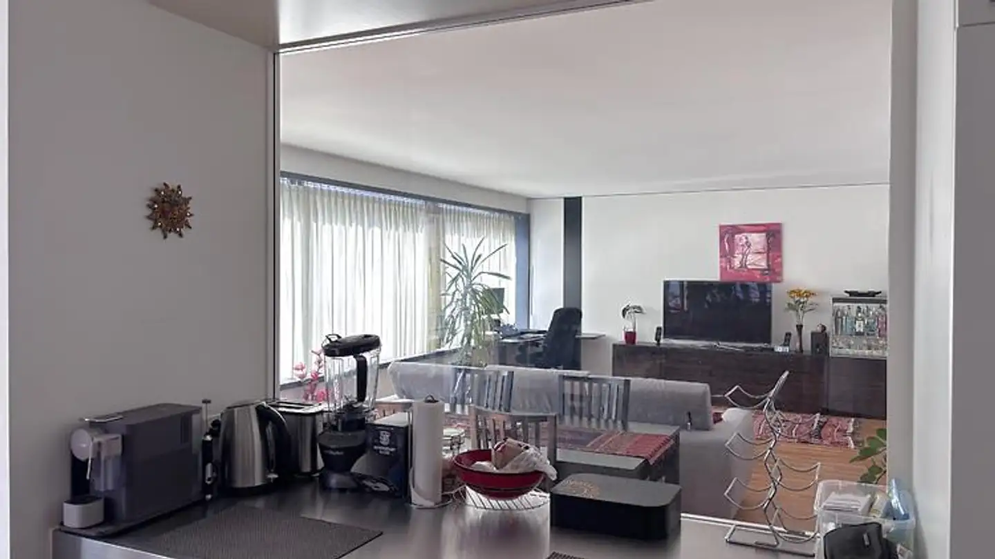 Furnished apartment for rent - 8047 Zürich - Photo 2