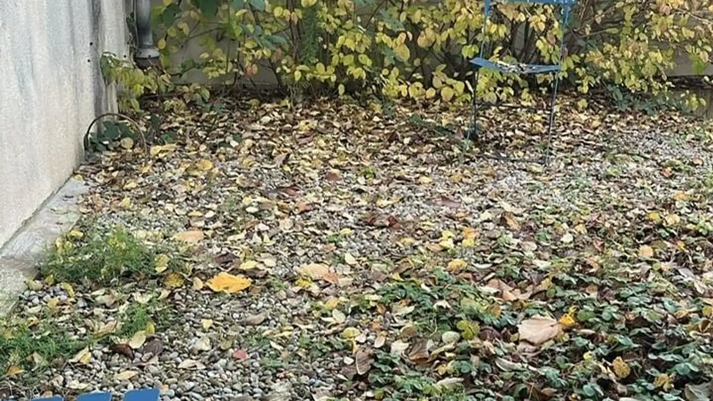 Spazio ufficio in affitto - Brunnmattstrasse 46a, 3007 Bern - Foto 3