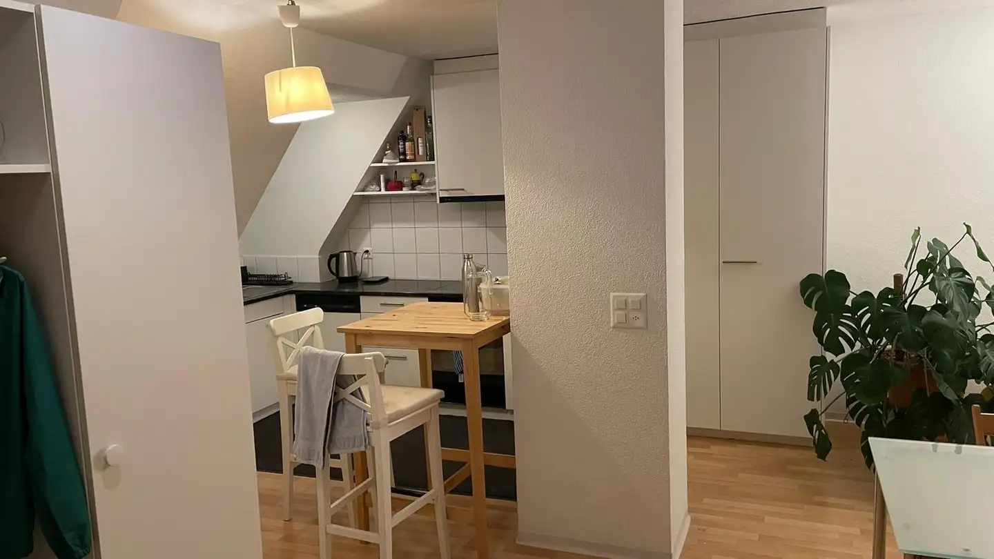 Chambre à louer - Gubelhangstrasse 22, 8050 Zürich