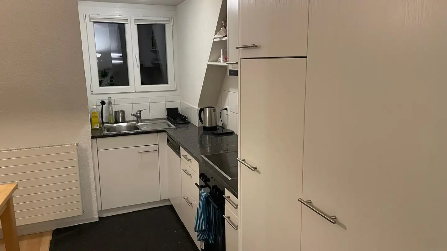 Chambre à louer - Gubelhangstrasse 22, 8050 Zürich - Photo 2
