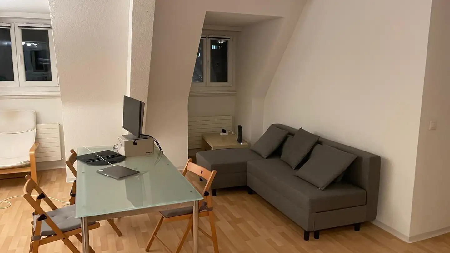 Chambre à louer - Gubelhangstrasse 22, 8050 Zürich - Photo 3
