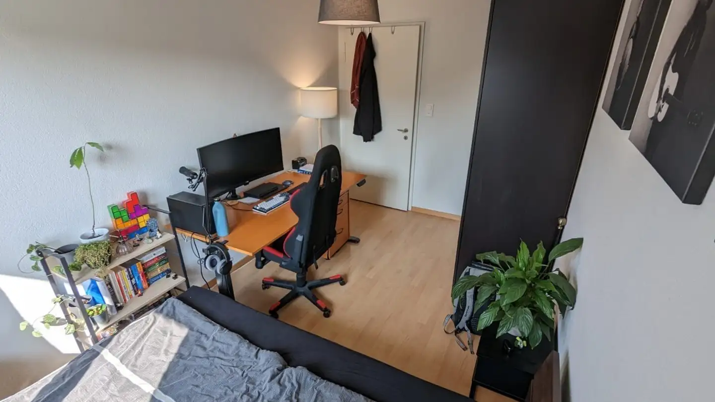 Single room for rent - Neuwiesenstrasse 71, 8400 Winterthur