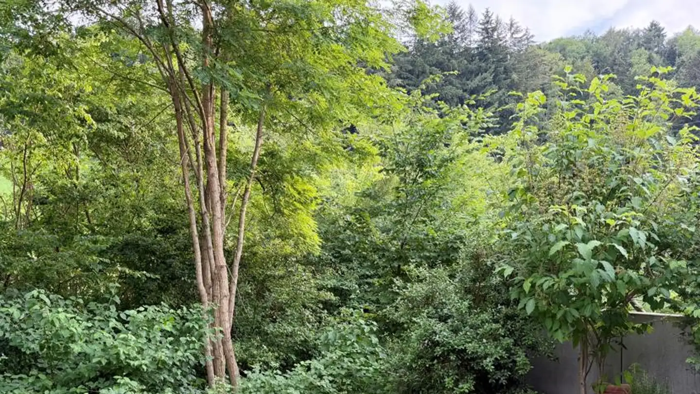 Einfamilienhaus kaufen - Im Bächelacker 3, 9242 Oberuzwil - Foto 4