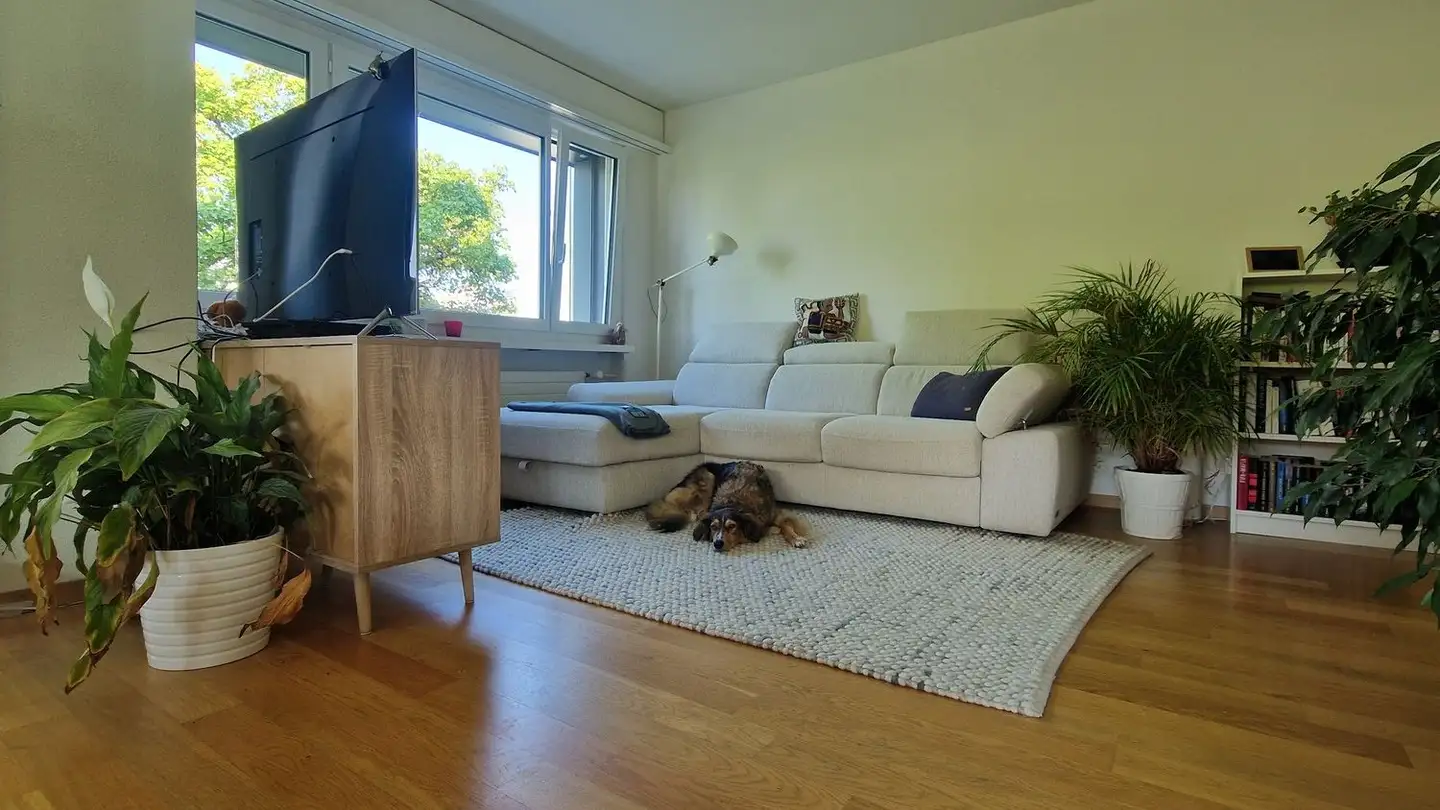 Single room for rent - 8053 Zürich