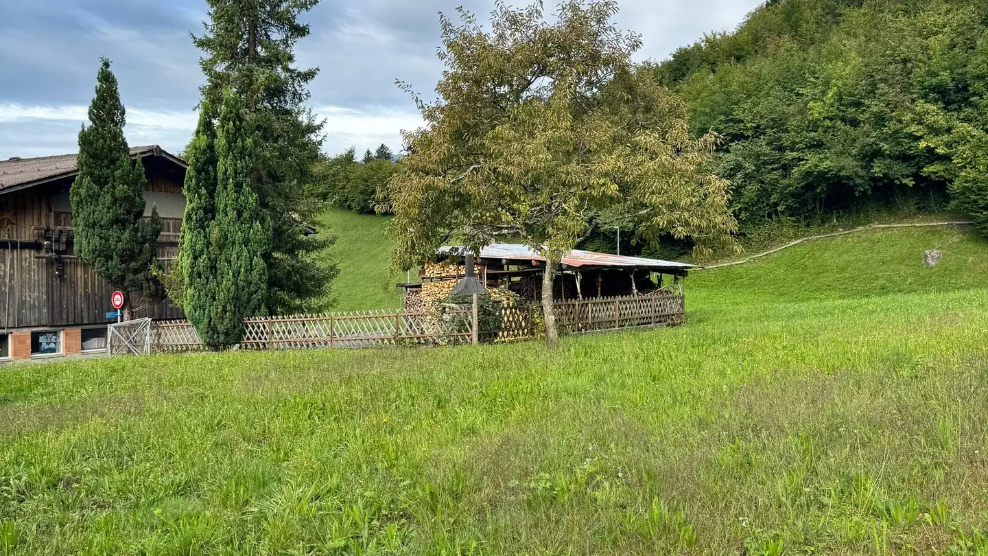 Terreno edificabile in vendita - 3858 Hofstetten b. Brienz - Photo 4