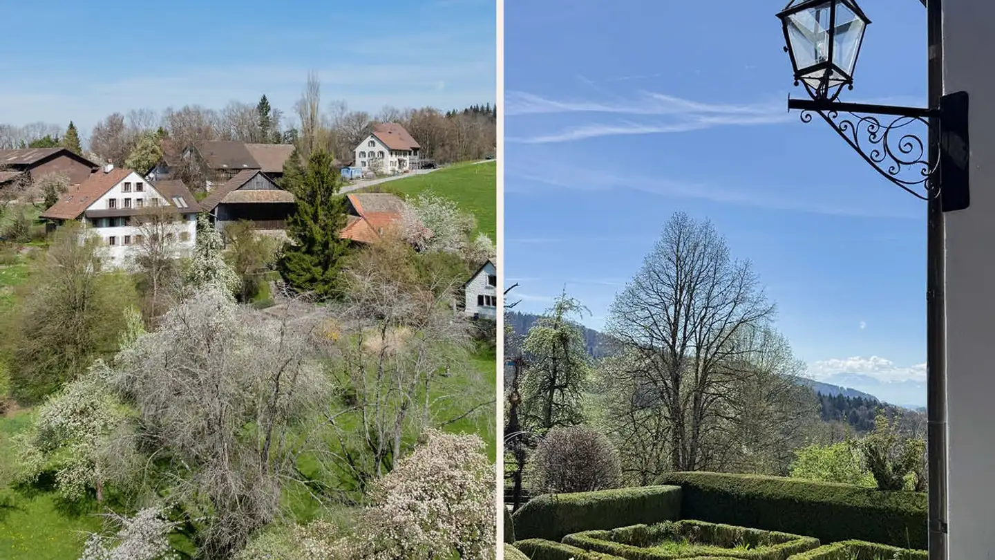 Villa for sale - 8143 Stallikon - Photo 3