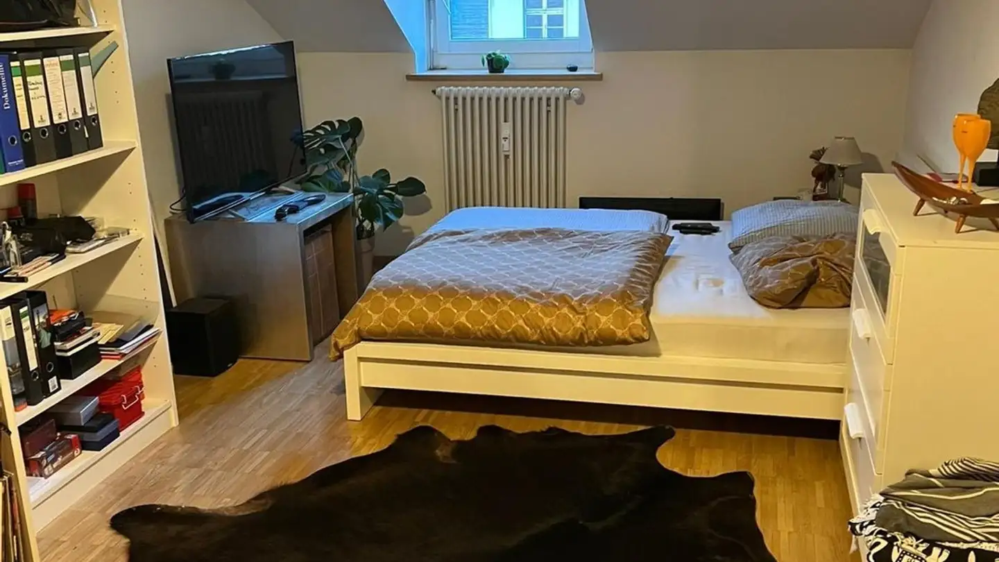 Stanza singola in affitto - St. Johanns-Vorstadt 58, 4056 Basel - Foto 3