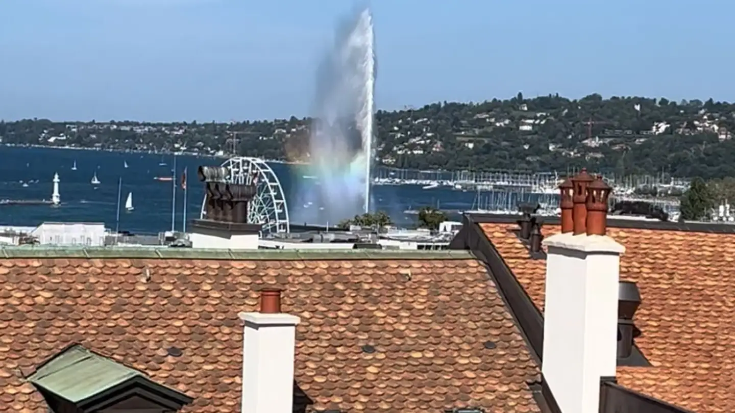 Wohnung mieten - Rue Jean- Calvin 10, 1204 Genève - Foto 3