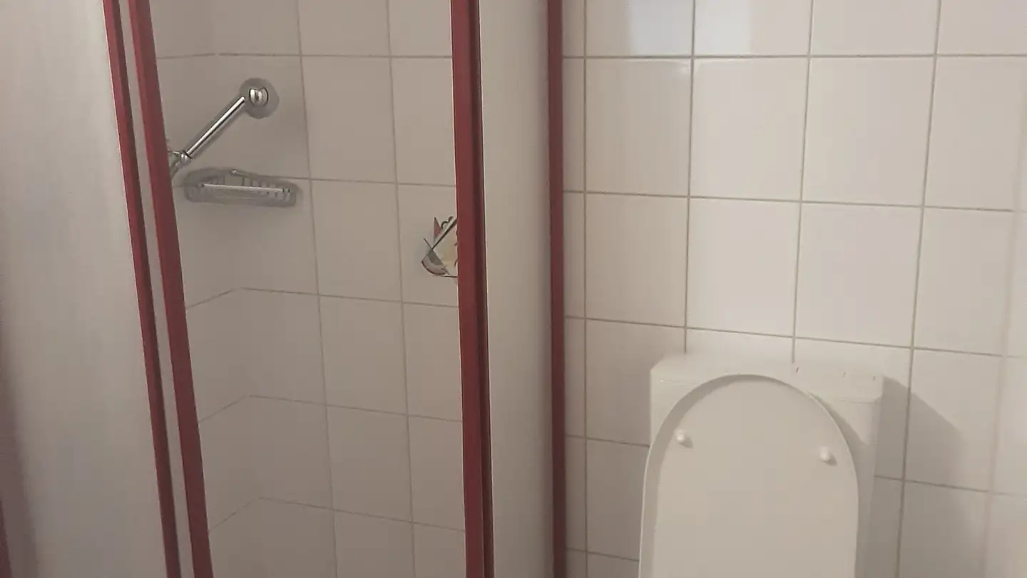 Studio in affitto - Unterdorf 29, 3267 Seedorf BE